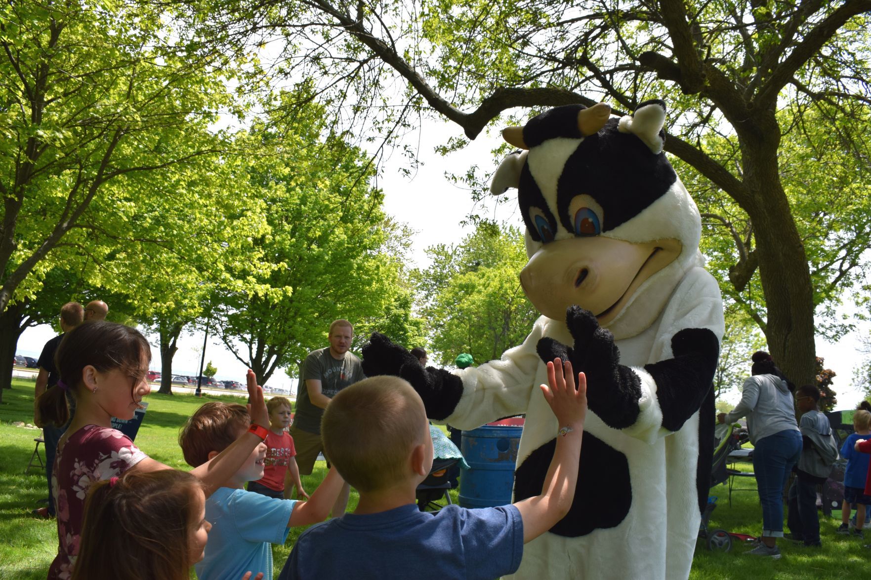 Summer Reading bash